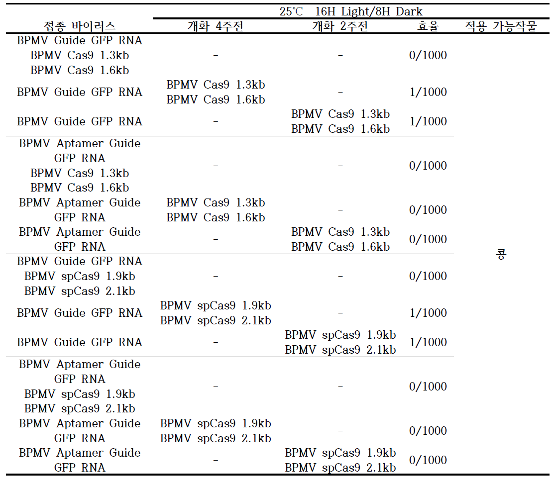 cj Cas 9 및 sp Cas 9 의 Guide RNA 와 Theophylline (Aptamer) guide RNA 발현 벡터의 편집 효과 비교