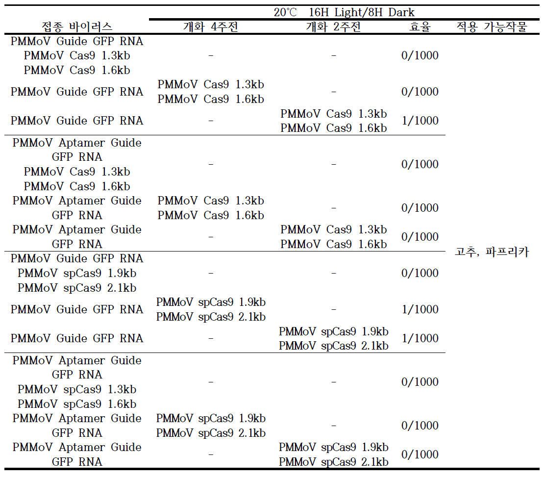 cj Cas 9 및 sp Cas 9 의 Guide RNA 와 Theophylline (Aptamer) guide RNA 발현 벡터의 편집 효과 비교