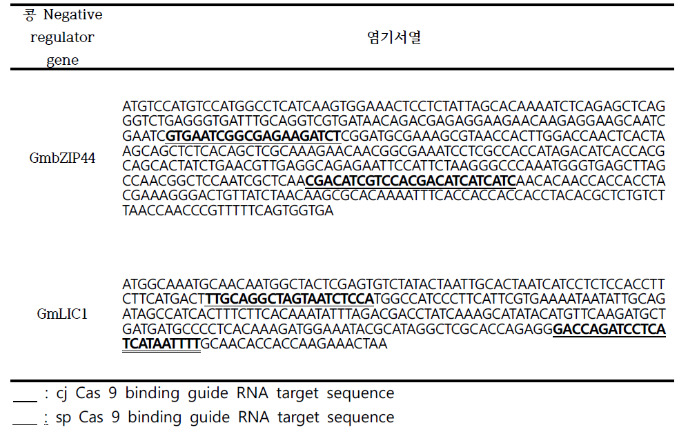 cj Cas 9 및 sp Cas 9 의 Guide RNA 와 Theophylline (Aptamer) guide RNA 발현 벡터의 편집 효과 비교