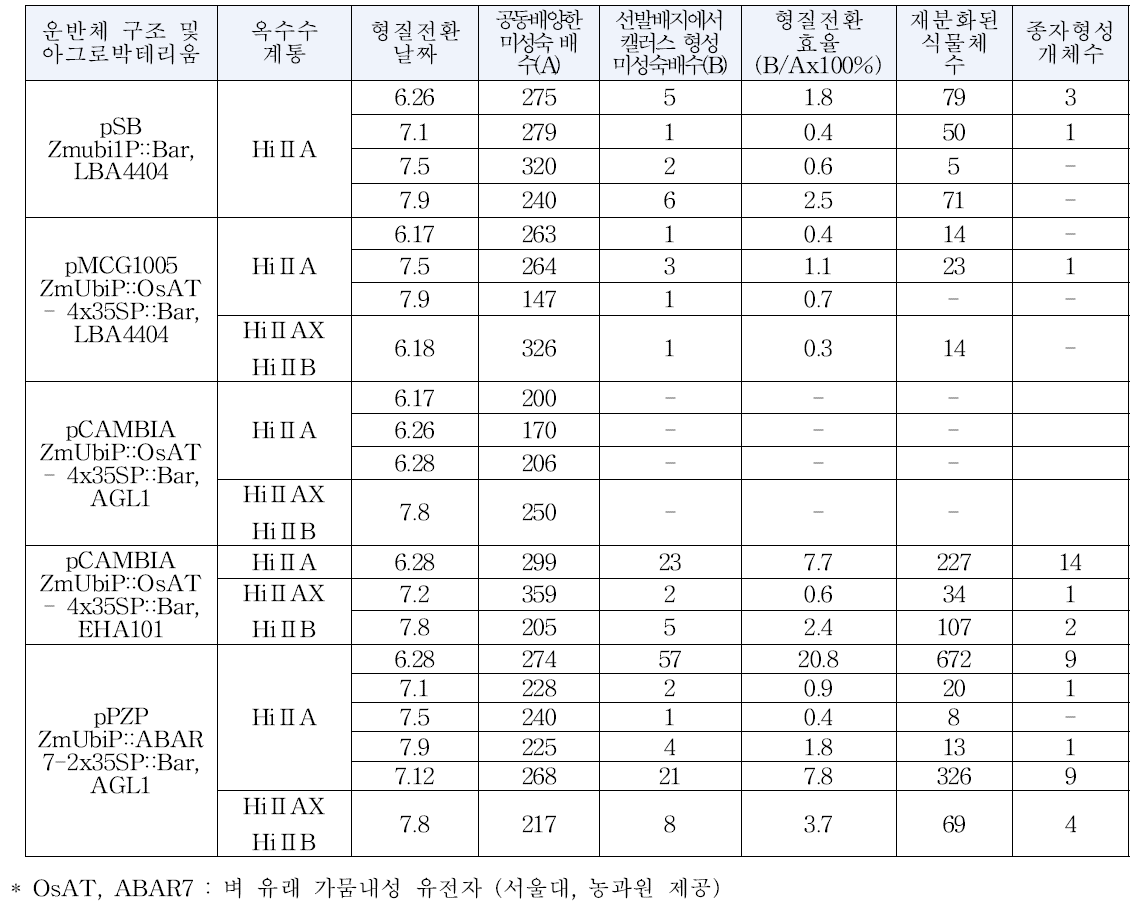 현재까지 진행된 옥수수 형질전환 현황