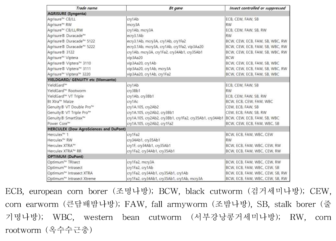 다국적 종자회사의 상용화된 Bt옥수수와 대상해충