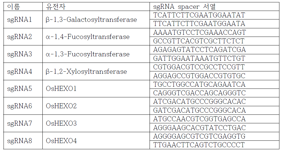 벼의 N-당질화 수식 유전자의 CRISPR/Cas9 target 서열