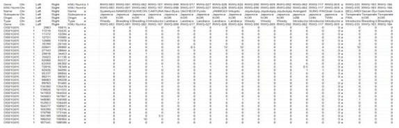 483 국내재배 벼에 대한 indel 형성 여부를 확인할 수 있는 데이터베이스의 일부