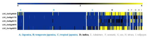 가뭄 저항성 신규 유전자 5개에 대한 indel 데이터 heatmap
