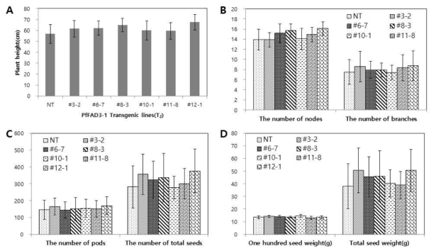 Pβ-con:PfFAD3-1 형질전환체의 농업형질 조사. (A) 식물체 경장 (B) 마디수-분지수 (C) 협수-총 종자수 (D) 100립중-총 종자량. NT, 광안콩 (야생형); #3-2, #6-7, #8-3, #10-1, #11-8, #12-1; Pβ-con:PfFAD3-1 형질전환체 (T3)