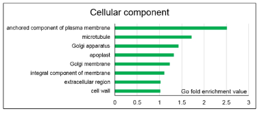 Gene Ontology 분석, cellular component