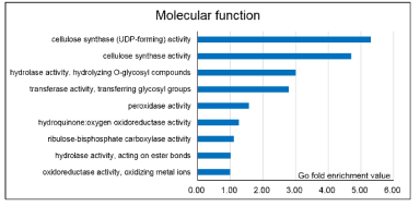 Gene Ontology 분석, molecular function