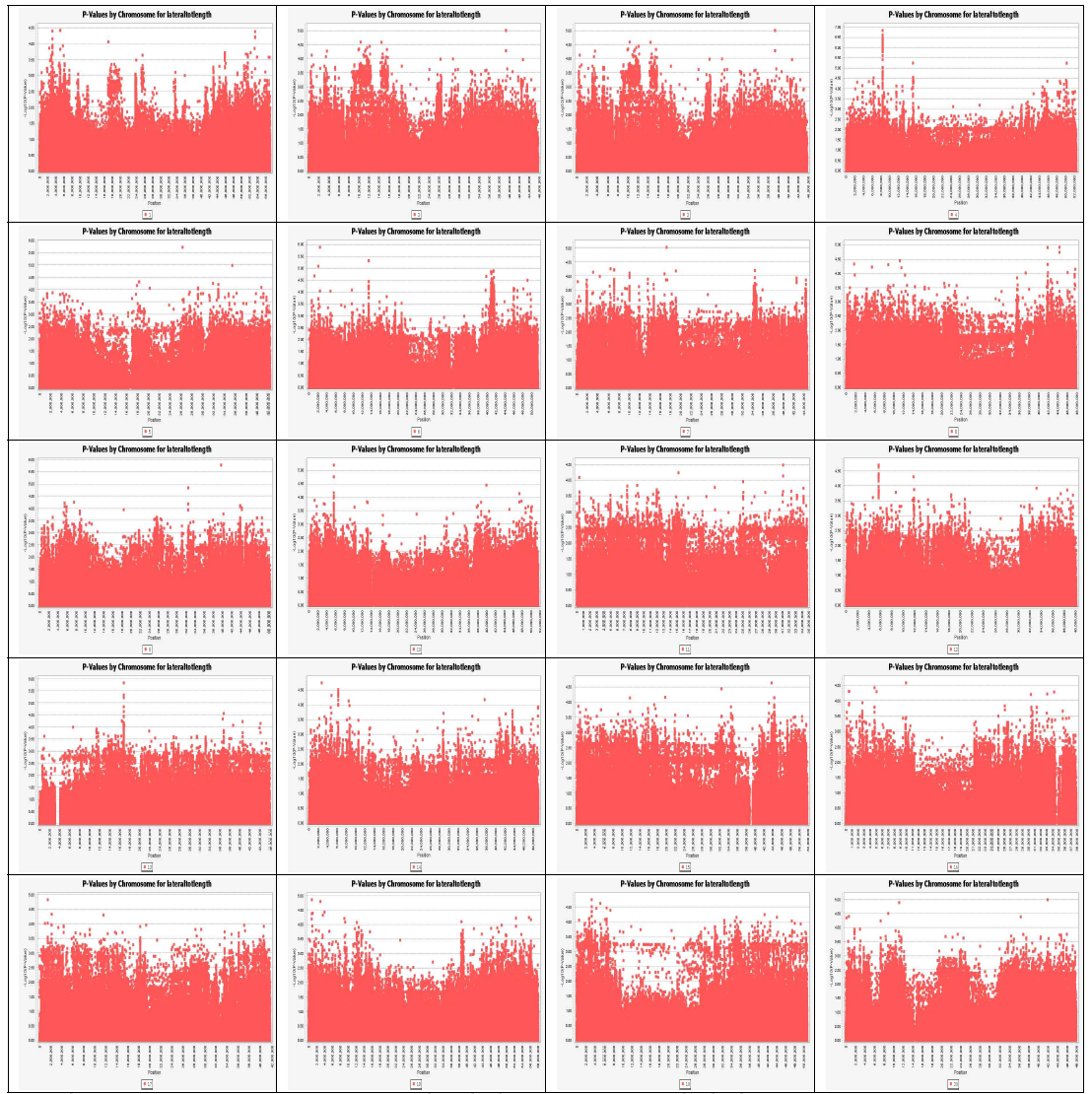 Lateral root length에 대한 GWAS 분석결과
