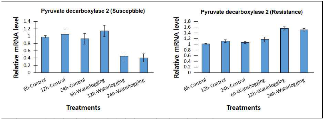 선발된 야생콩 저항성계통 및 감수성계통간 Pyruvate decarboxylase 2유전자 발현량 비교