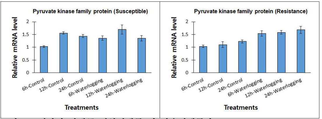 선발된 야생콩 저항성계통 및 감수성계통간 Pyruvate kinase family protein 유전자 발현량 비교