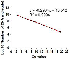 각 질량별 Cq 값과 DNA 분자 개수 간의 상관 관계