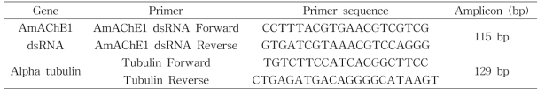 dsRNA 전달 스크리닝 시스템 확립을 위해 사용한 프라이머 정보