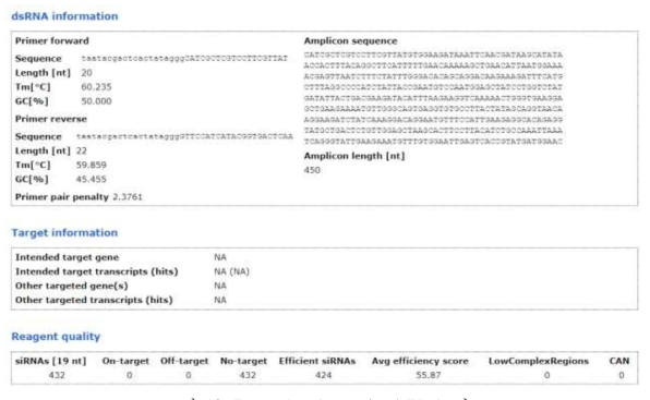 Ras-related protein dsRNA 정보