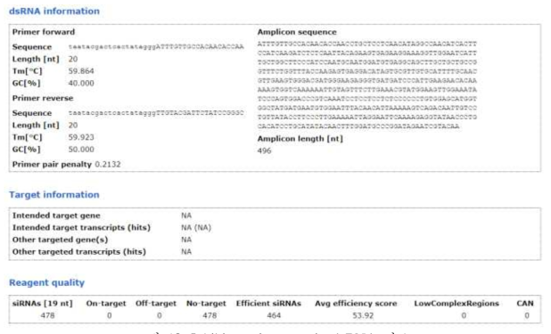 Inhibitor of apoptosis dsRNA 정보