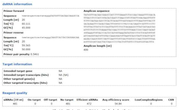 Tubulin dsRNA 프라이머 정보