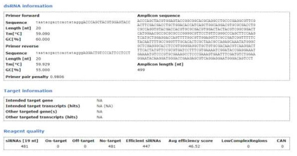 Salivary peroxidase dsRNA 정보