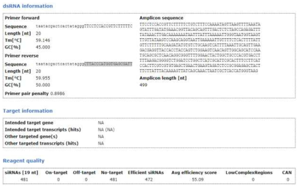 Elongation factor dsRNA 정보