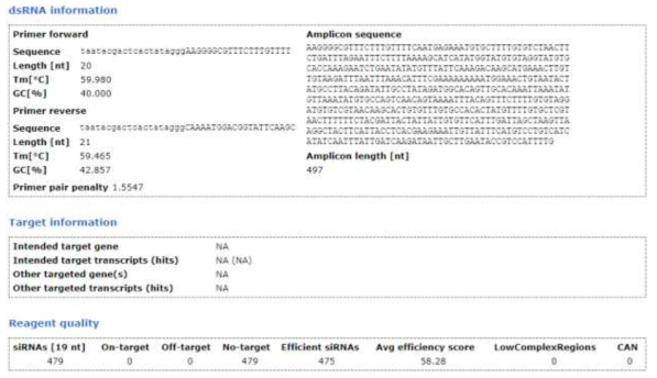 Aquaporin dsRNA 정보