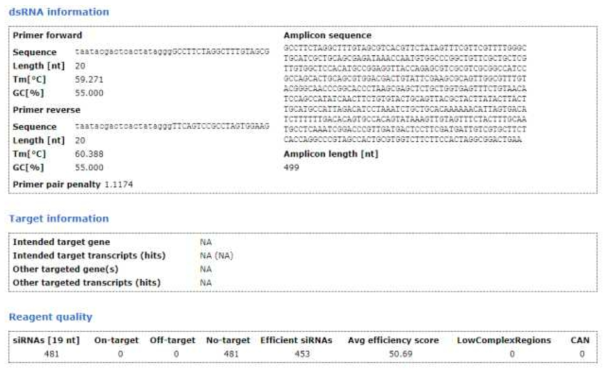 Amylase dsRNA 정보