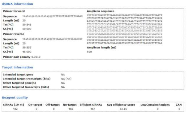 Actin dsRNA 정보