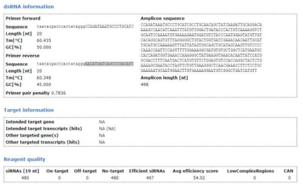 Apolipophorin dsRNA 정보