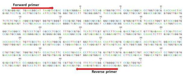 Corticoid releasing hormone dsRNA 프라이머 합성부위