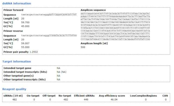 Insulin-like peptide dsRNA 정보