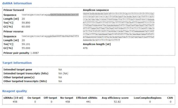 Diuretic hormone dsRNA 정보