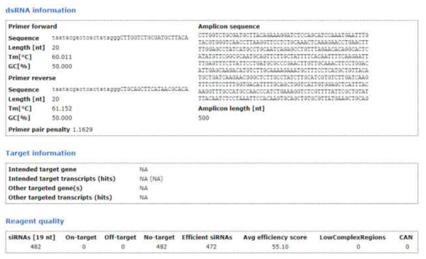 Coatomer protein B dsRNA 정보