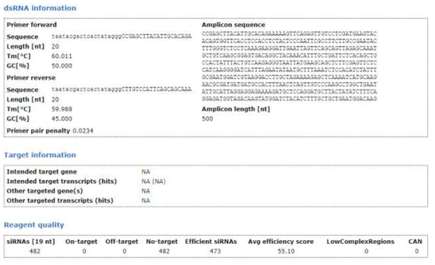 Coatomer protein E dsRNA 정보