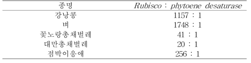 식물 잎과 세 종의 흡즙성 해충이 섭식한 엽록체와 식물 세포 핵의 비율 (Rubisco : phytoene desaturase)