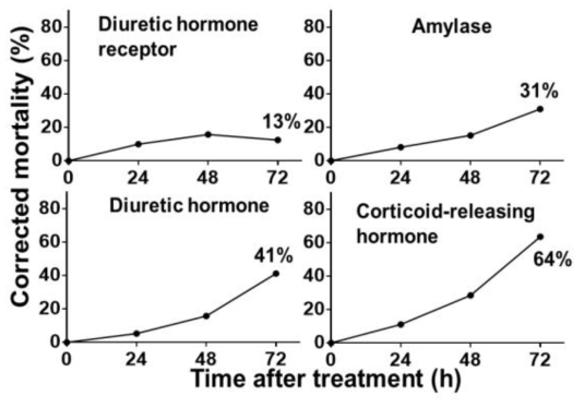 Digestion, Excretion 관련 유전자의 dsRNA에 처리된 총채벌레의 보정사충률