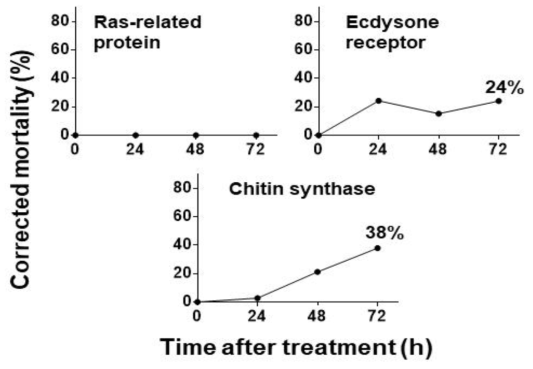 Metamorphosis, Protein expression 관련 유전자의 dsRNA에 처리된 총채벌레의 보정사충률