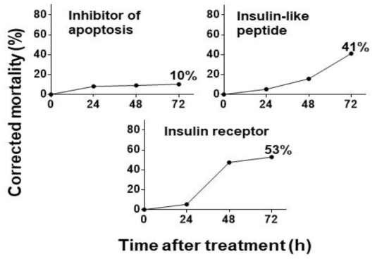 Signaling pathway 관련 유전자의 dsRNA에 처리된 총채벌레의 보정사충률