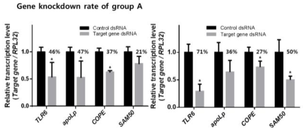 120시간 dsRNA 섭식 후 타겟유전자의 발현량 비교. 좌: 살충제 감수성 꽃 노랑총채벌레, 우: 살충제 저항성 꽃노랑총채벌레