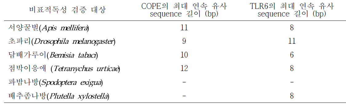 비표적곤충 및 꽃노랑총채벌레와의 치사유전자 dsRNA 합성 서열 내의 최대 연속 유사 서열 길이