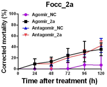 Juvenile hormone signaling pathway에 관여하는 miRNA (Focc_2a)의 서열을 토대로 합성된 Agomir와 Antagomir의 꽃노랑총채벌레 대상 생물검정 결과