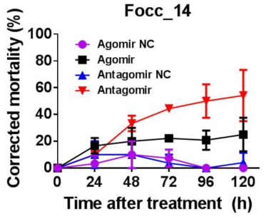 Inhibitor of apoptotic cell death에 관여하는 miRNA (Focc_14)의 서열을 토대로 합성된 Agomir와 Antagomir의 꽃노랑총채벌레 대상 생물검정 결과