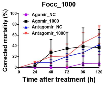 Apoptosis에 관여하는 miRNA (Focc_1000)의 서열을 토대로 합성된 Agomir와 Antagomir의 꽃노랑총채벌레 대상 생물검정 결과