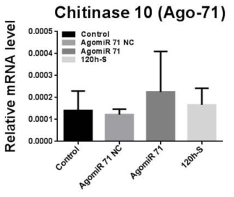 AgomiR-71을 섭식한 꽃노랑총채벌레 대상 Chitinase 10 유전자의 qPCR 결과