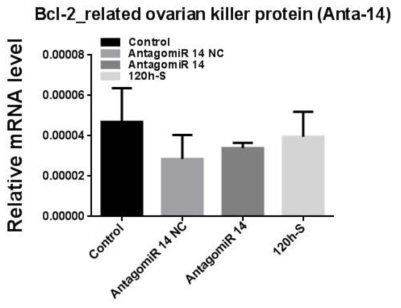 AntagomiR-14을 섭식한 꽃노랑총채벌레 대상 Bcl-2_related ovarian killer protein-like 유전자의 qPCR 결과