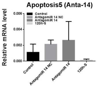 AntagomiR-14을 섭식한 꽃노랑총채벌레 대상 Apoptosis 5 유전자의 qPCR 결과