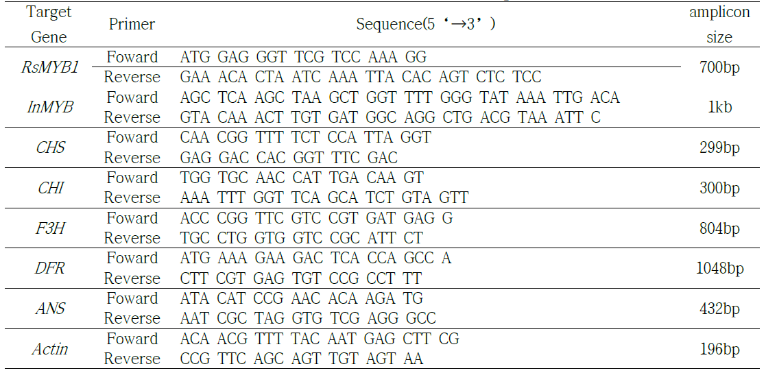 형질전환체의 안토시안닌 합성관련 유전자 탐지용 primer