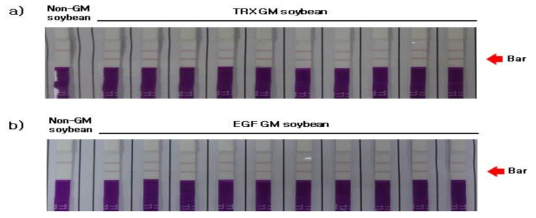 2018년 TRX 생산용 형질전환콩(TRX, bar)과 EGF 생산용 형질전환콩(EGF, bar )의 Bar(PAT) 단백질 발현 검정(immunostrip 검정) (a) TRX 생산용 형질전환콩(TRX, bar )의 Bar 검정 (b) EGF 생산용 형질전환콩(EGF, bar)의 Bar 검정