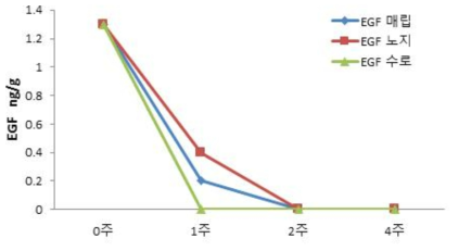 EGF 생산용 GM콩의 환경 방출 유형별/처리기간별 EGF 단백질 분석