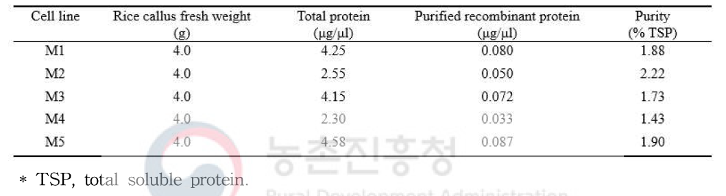 Purification of recombinant protein from rice callus cell lines