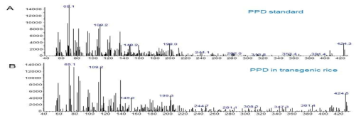 형질전환 벼의 종자에서 분석된 인삼 사포제닌 (protopanaxadiol)의 MS spectrum