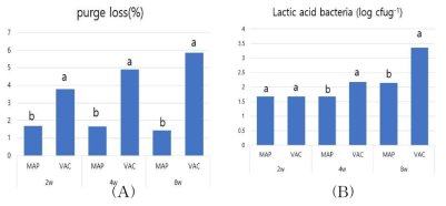 다시마 추출물을 첨가한 온도체 저염 등심 햄의 저장감량(A) 및 젖산균(B)의 변화 a,b Means with having different superscripts within same factor are different (p<0.05). Treatments: Same as Table 4-1: MAP= Modified atmosphere packed loin ham; VAC=Vacuum packed loin ham