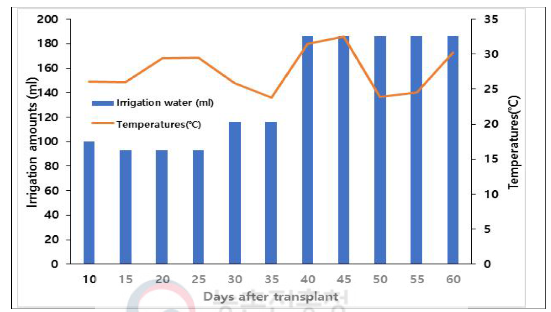 Changes of daily average temperature and irrigation amounts during tomato cultivation in the greenhouse