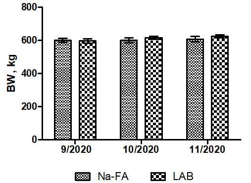 Change in body weight of cows fed silages